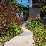 Patmos Mathios Studios- Sapsila