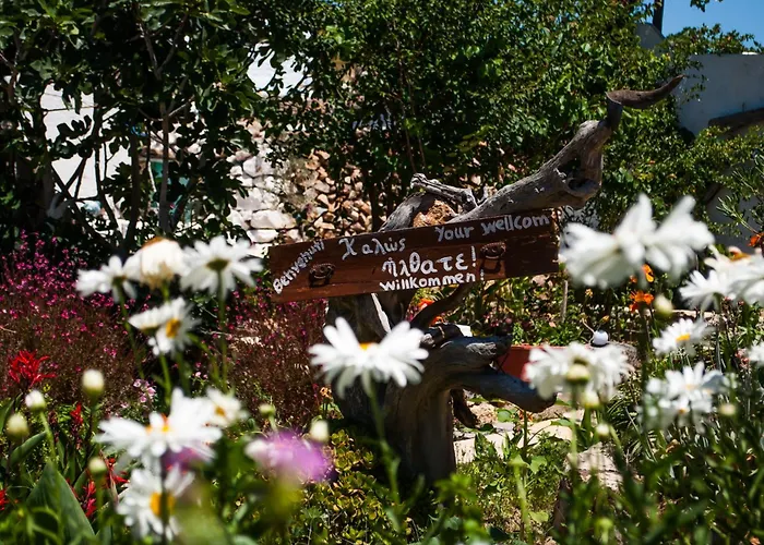 Gasthuis Patmos Mathios Studios- *