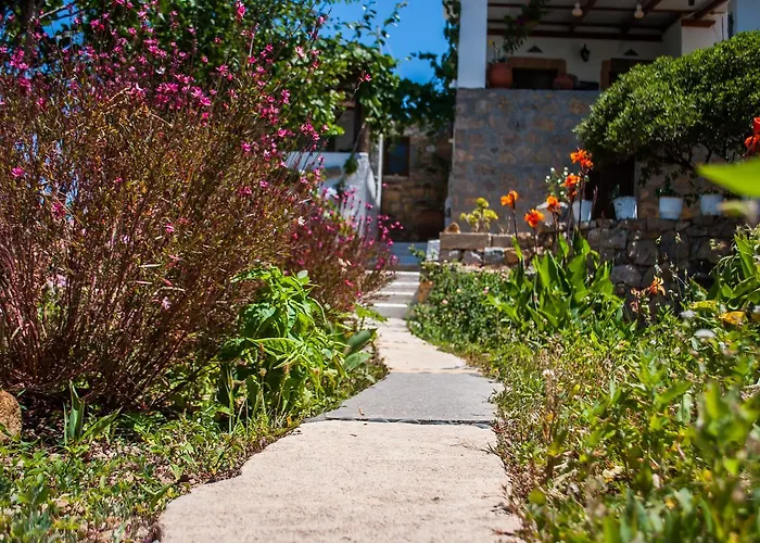 Patmos Mathios Studios- Sapsila