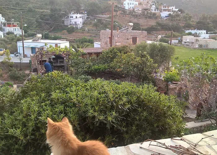 Gasthuis Patmos Mathios Studios- *