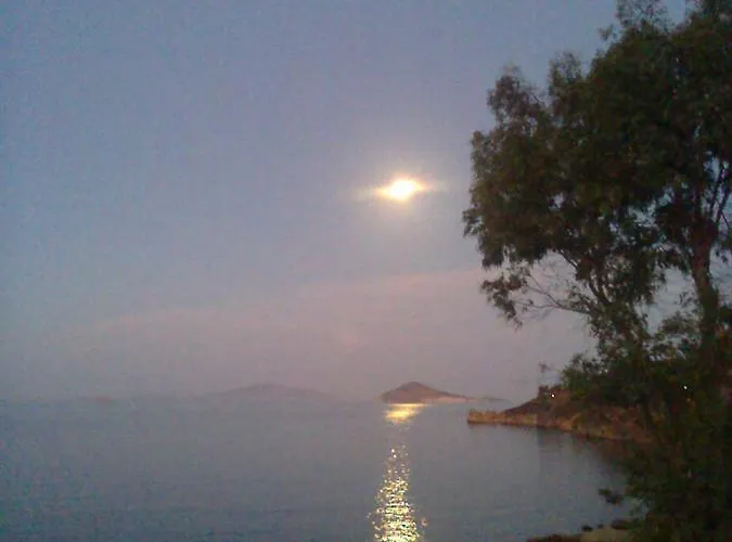 Patmos Mathios Studios- Sapsila