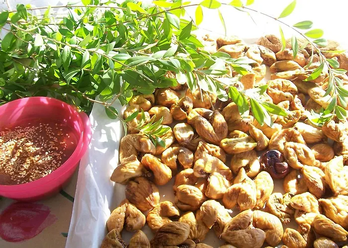 Patmos Mathios Studios- * Sapsila