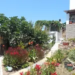 بيت ضيافة Patmos Mathios Studios- *