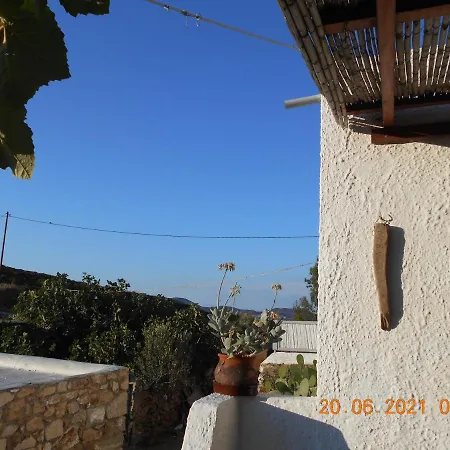 Patmos Mathios Studios- Sapsila