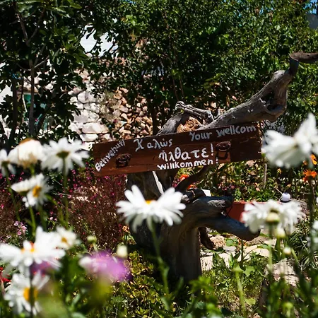 Guest house Patmos Mathios Studios- *