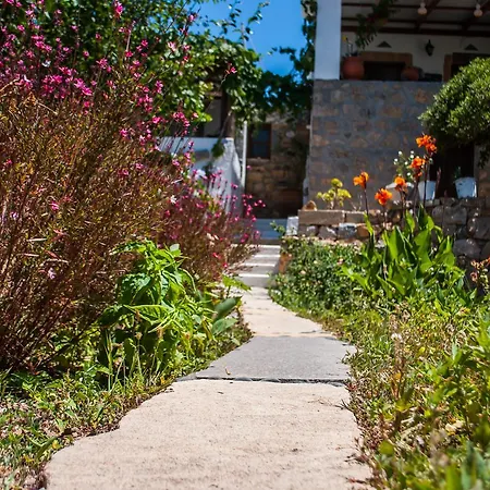 Patmos Mathios Studios- Sapsila