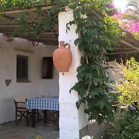 Patmos Mathios Studios- Sapsila