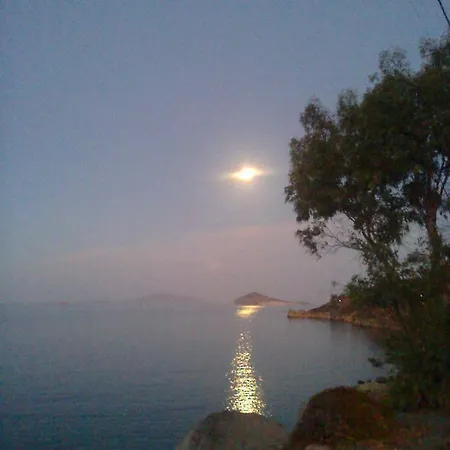 Patmos Mathios Studios- Sapsila