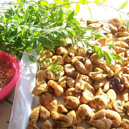 Patmos Mathios Studios- * Szápszila